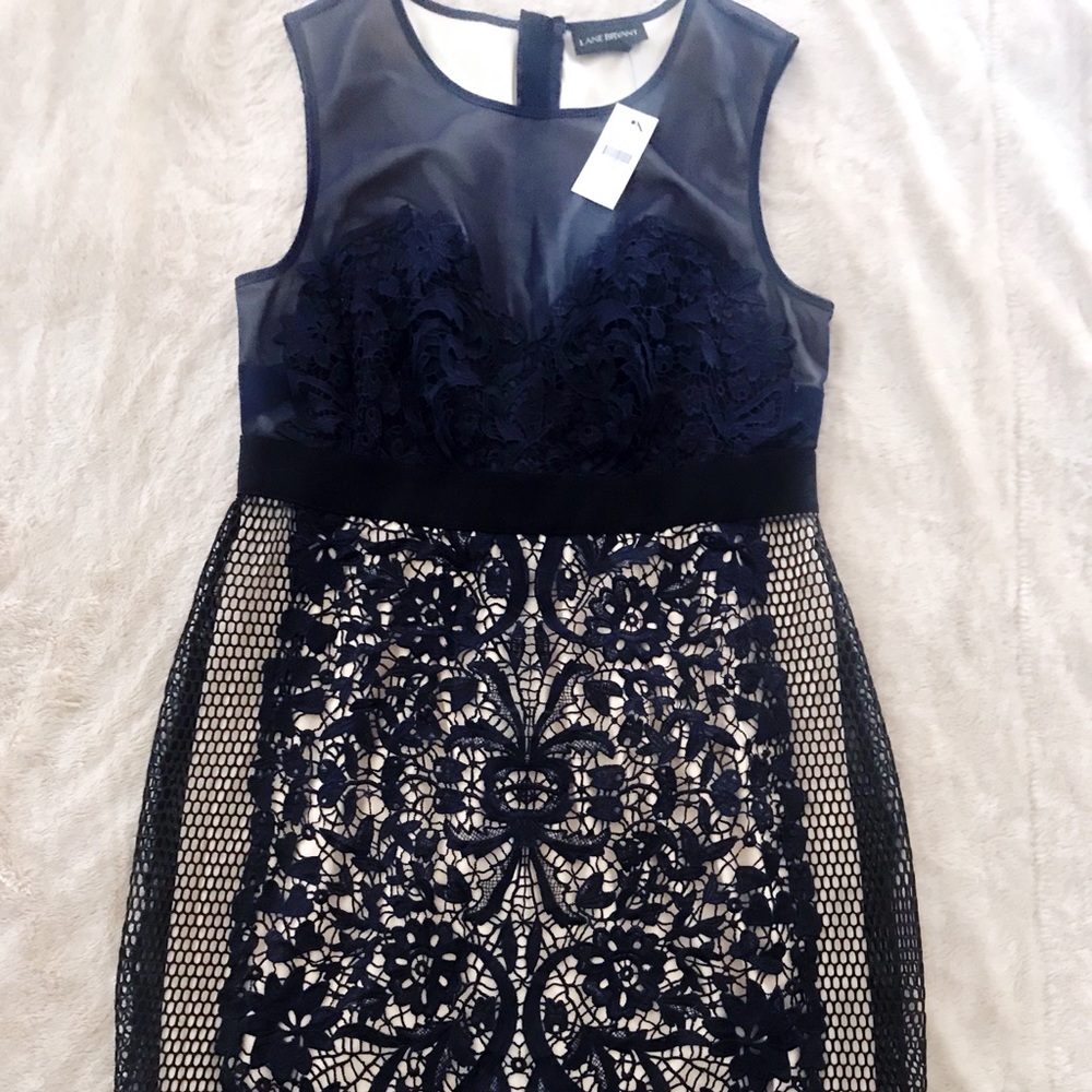 NWTSA Lane Bryant (14) Navy lace overlay dress.